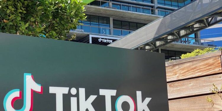 Como O Tiktok Turbinou O Negócio Dessa Empresária E Expandiu Sua Empresa?